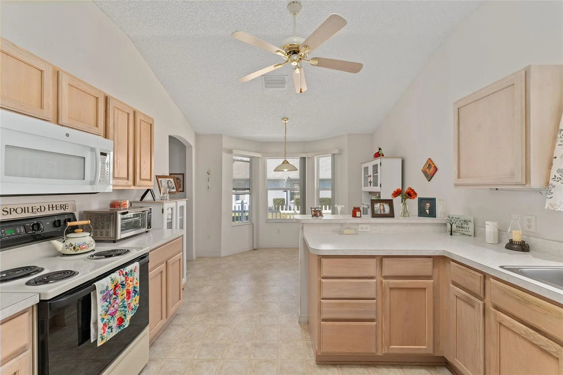 3009 Batally Court The Villages FL 32162