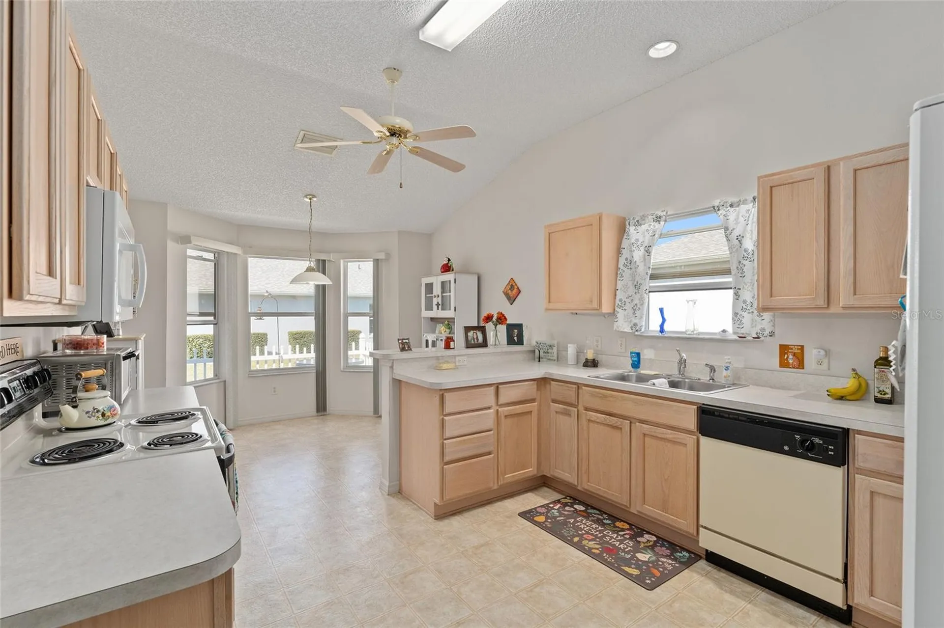 3009 Batally Court The Villages FL 32162