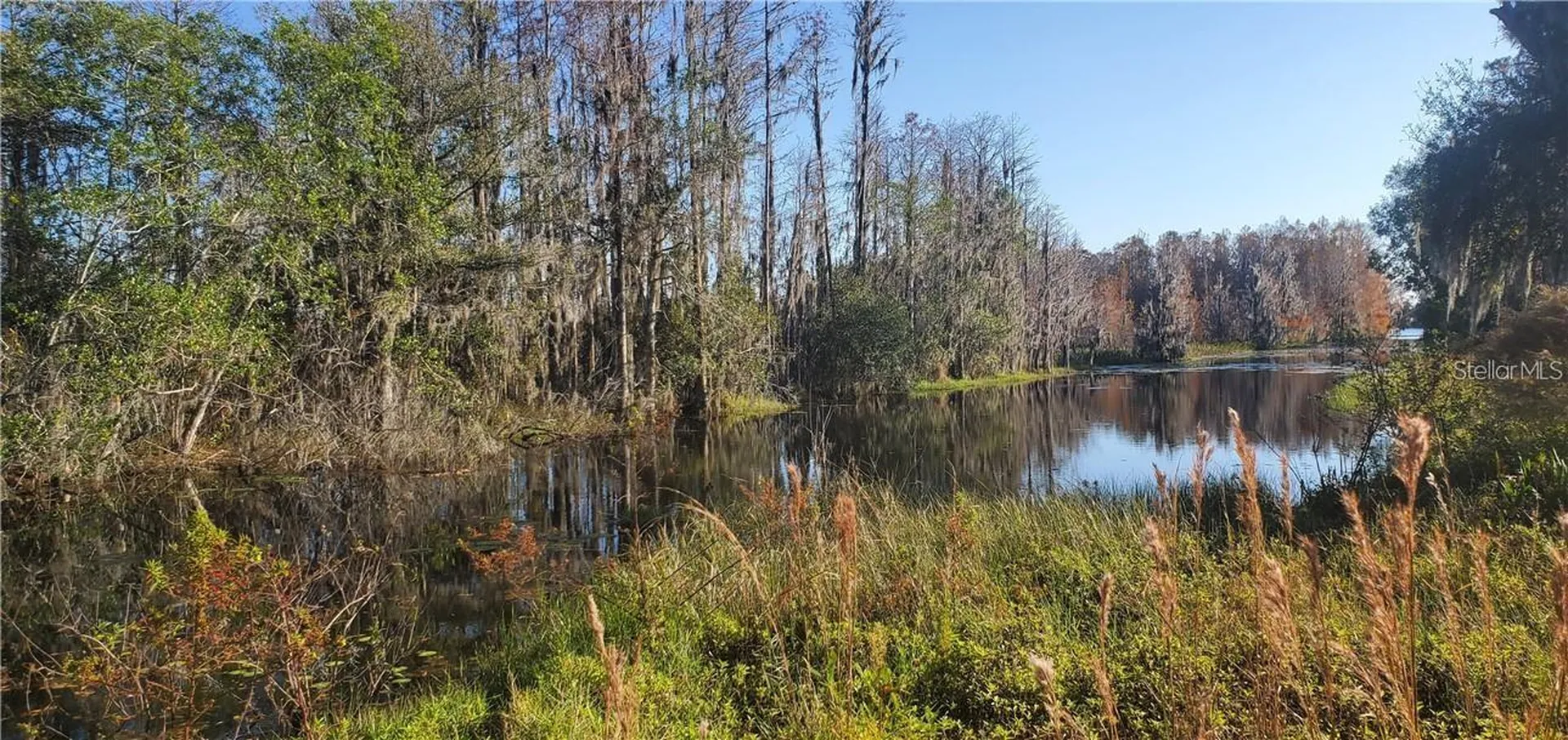 11124 Lake Shore Drive Land O Lakes FL 34637