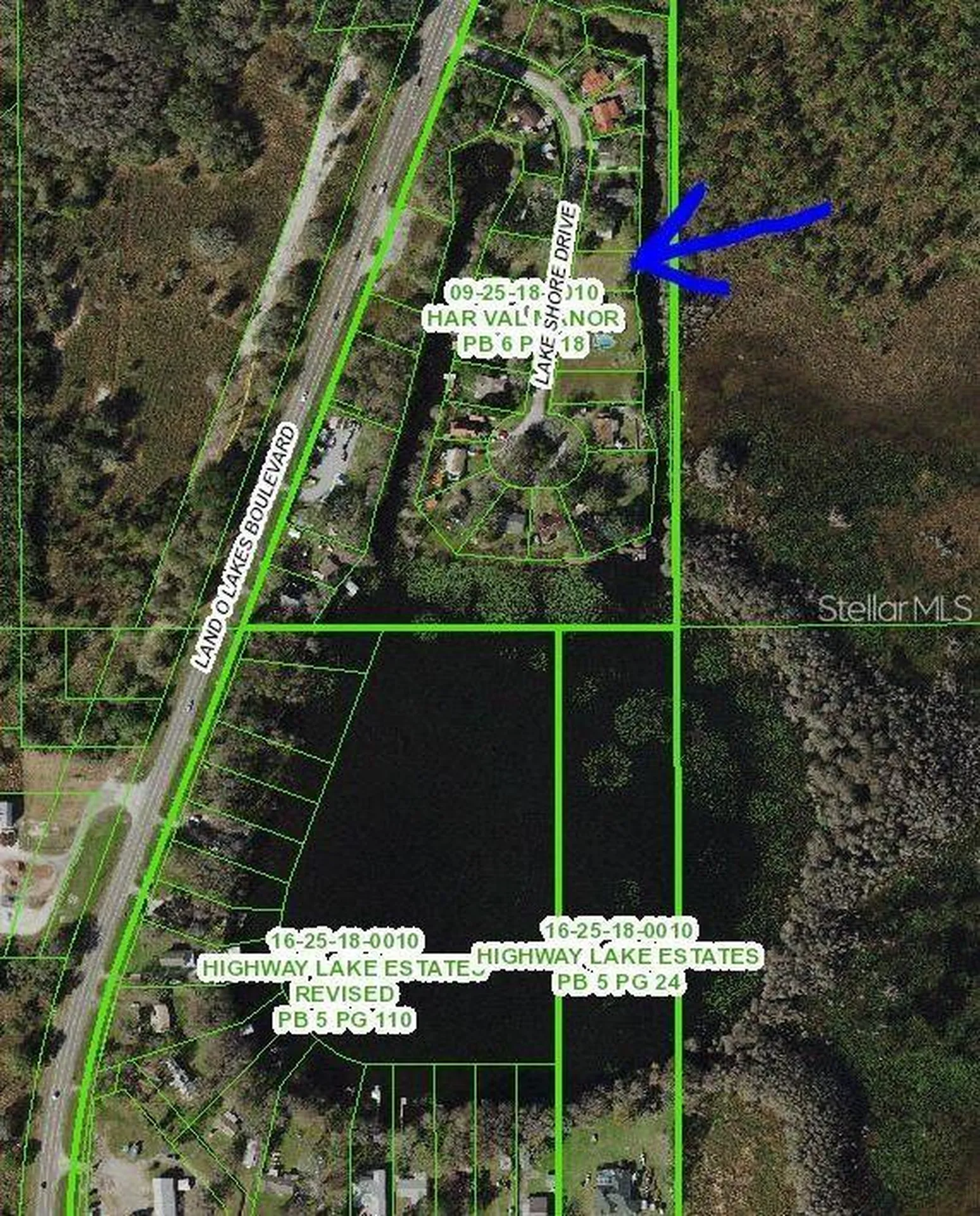 11124 Lake Shore Drive Land O Lakes FL 34637