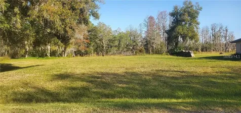 11124 Lake Shore Drive Land O Lakes FL 34637