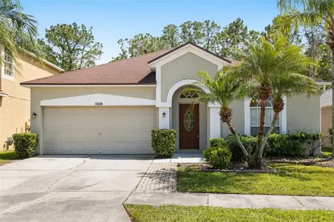 12526 Blazing Star Drive Tampa FL 33626
