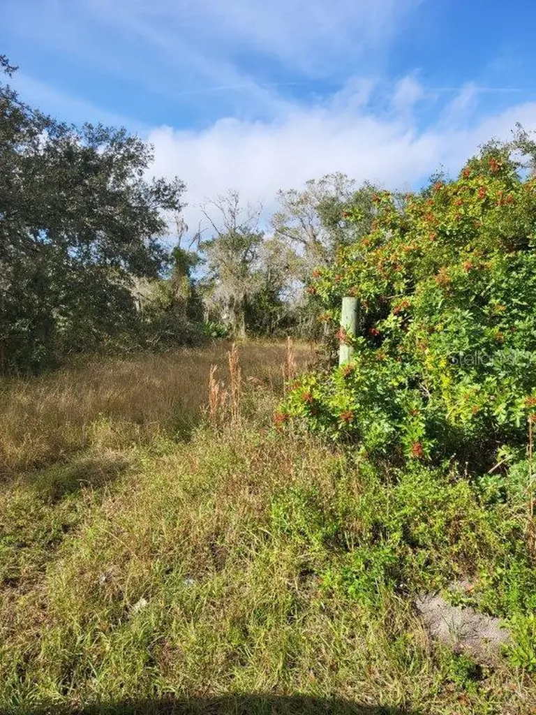 26700 State Rd 70 E Myakka City FL 34251