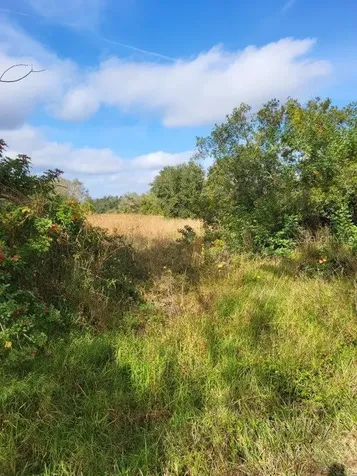 26700 State Rd 70 E Myakka City FL 34251