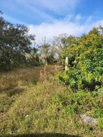 26700 State Rd 70 E Myakka City FL 34251