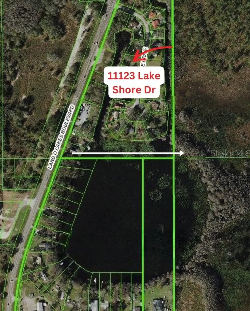 11123 Lake Shore Drive Land O Lakes FL 34637