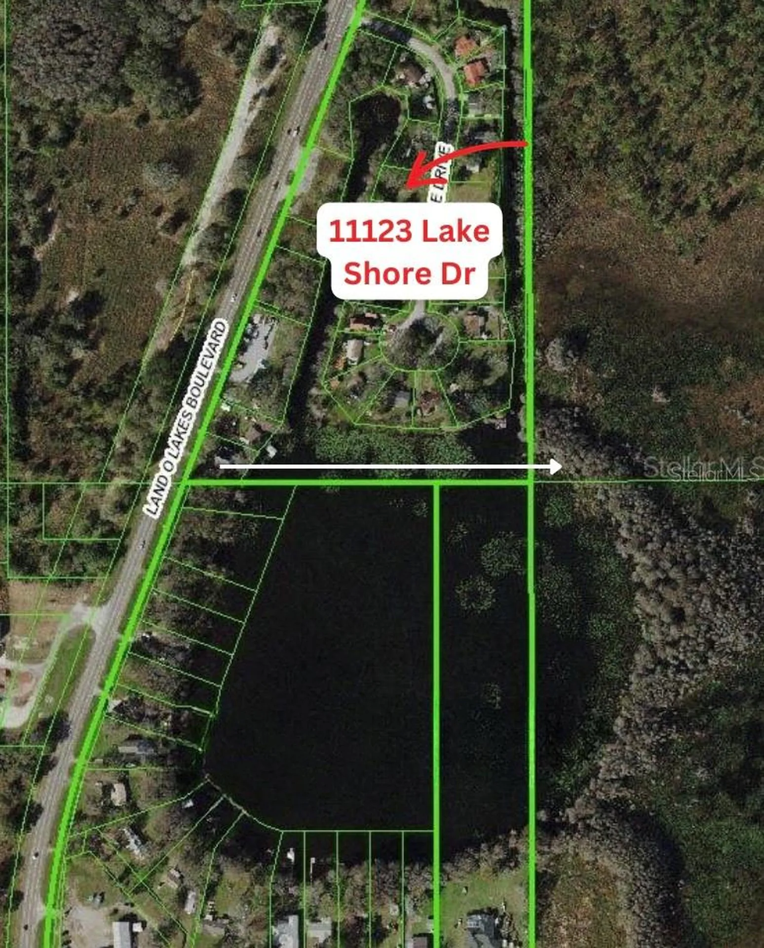 11123 Lake Shore Drive Land O Lakes FL 34637