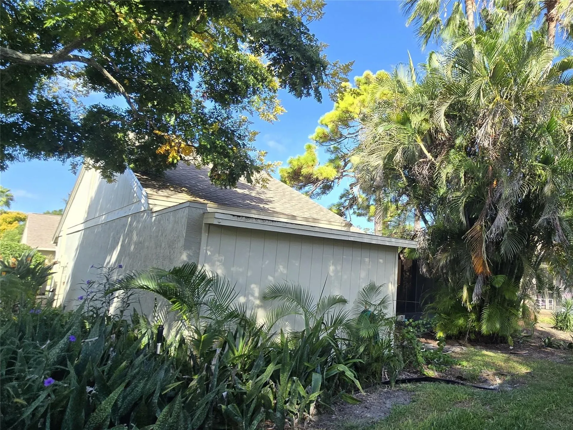 25 Windrush Bay Drive Tarpon Springs FL 34689