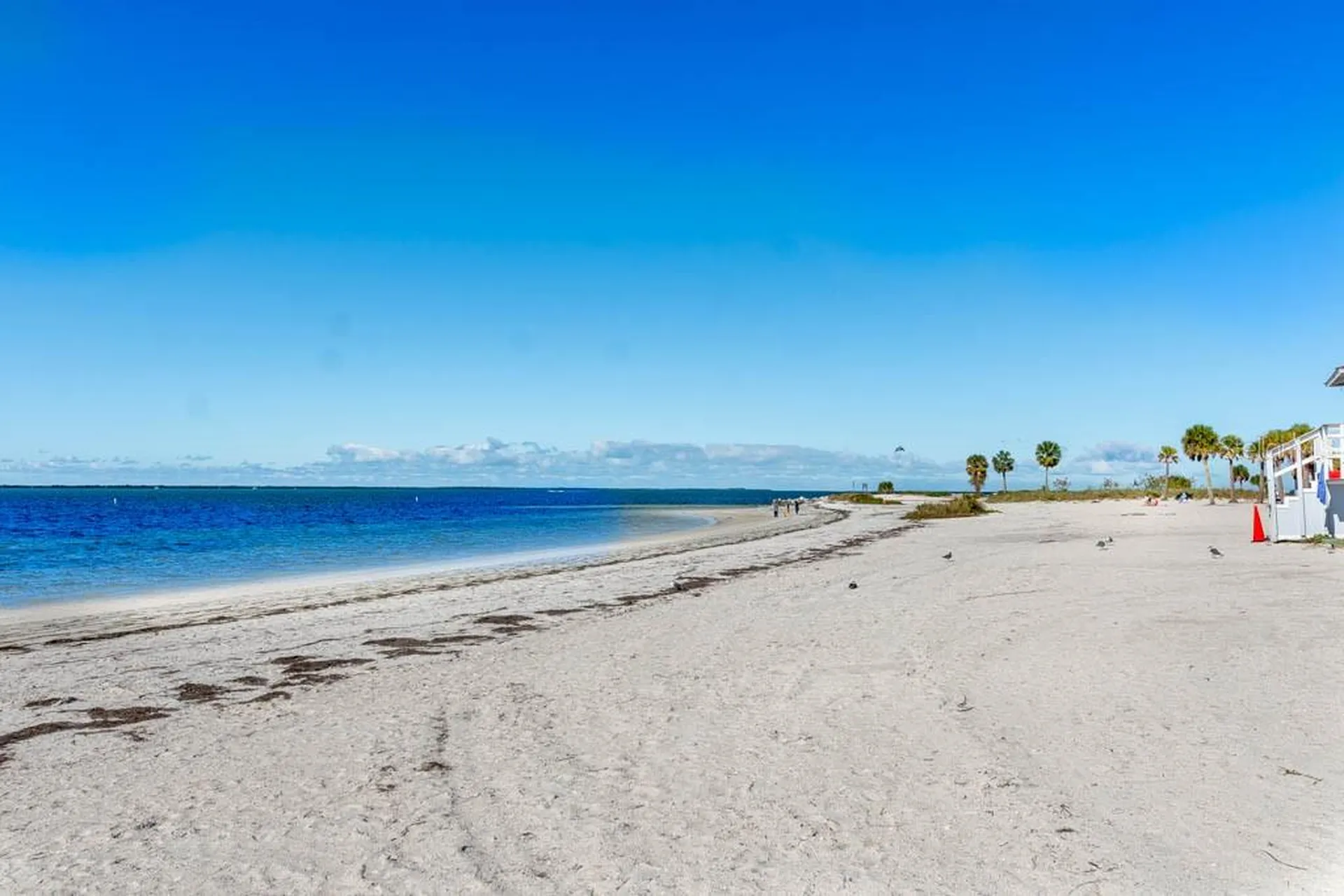 25 Windrush Bay Drive Tarpon Springs FL 34689