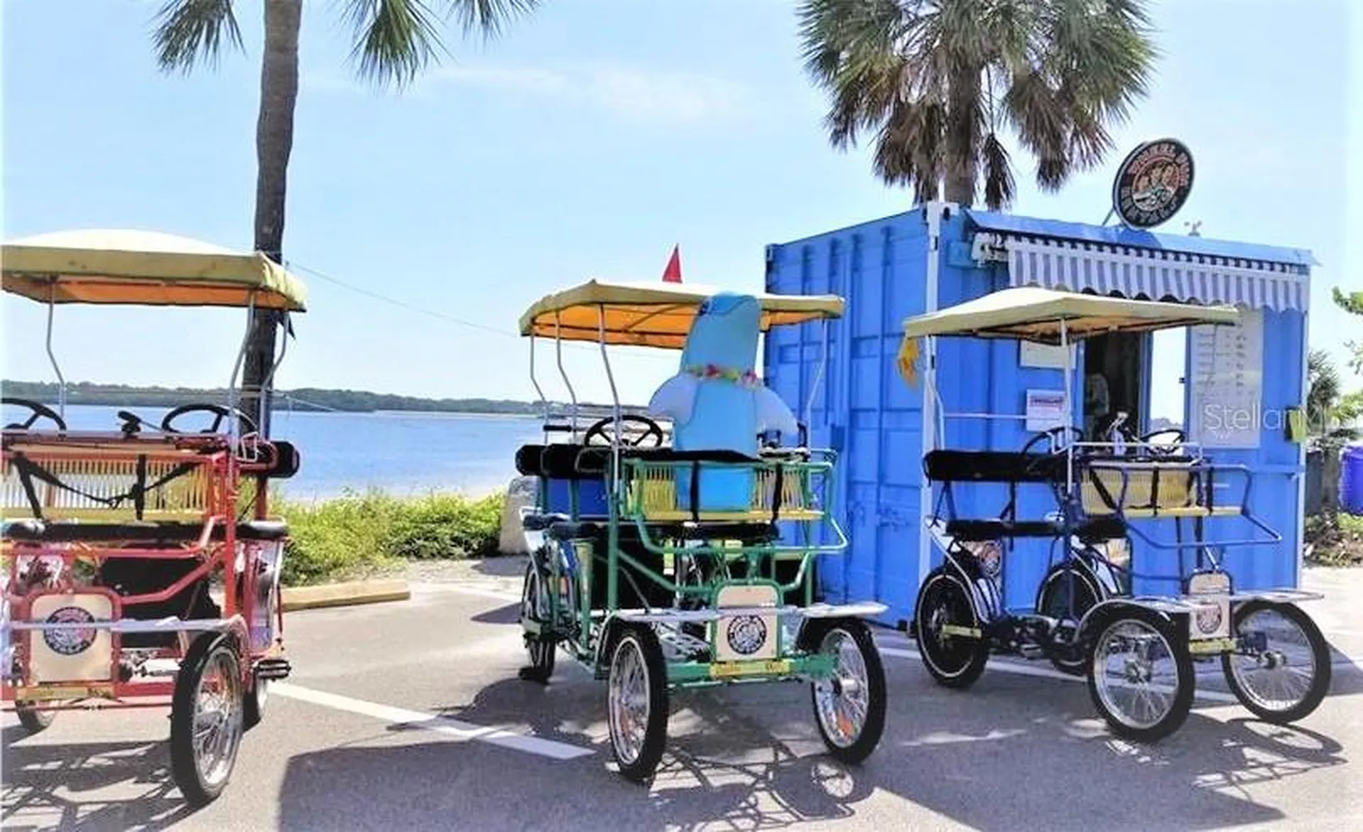 25 Windrush Bay Drive Tarpon Springs FL 34689