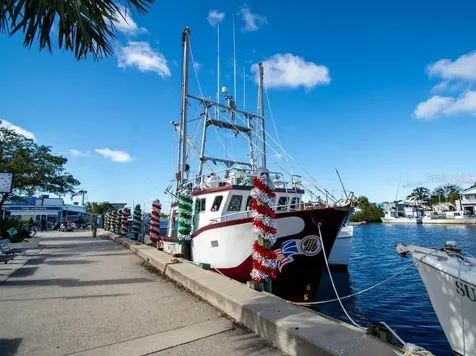 25 Windrush Bay Drive Tarpon Springs FL 34689