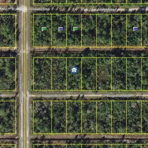 320 Bougainvillea Drive Indian Lake Estates FL 33855