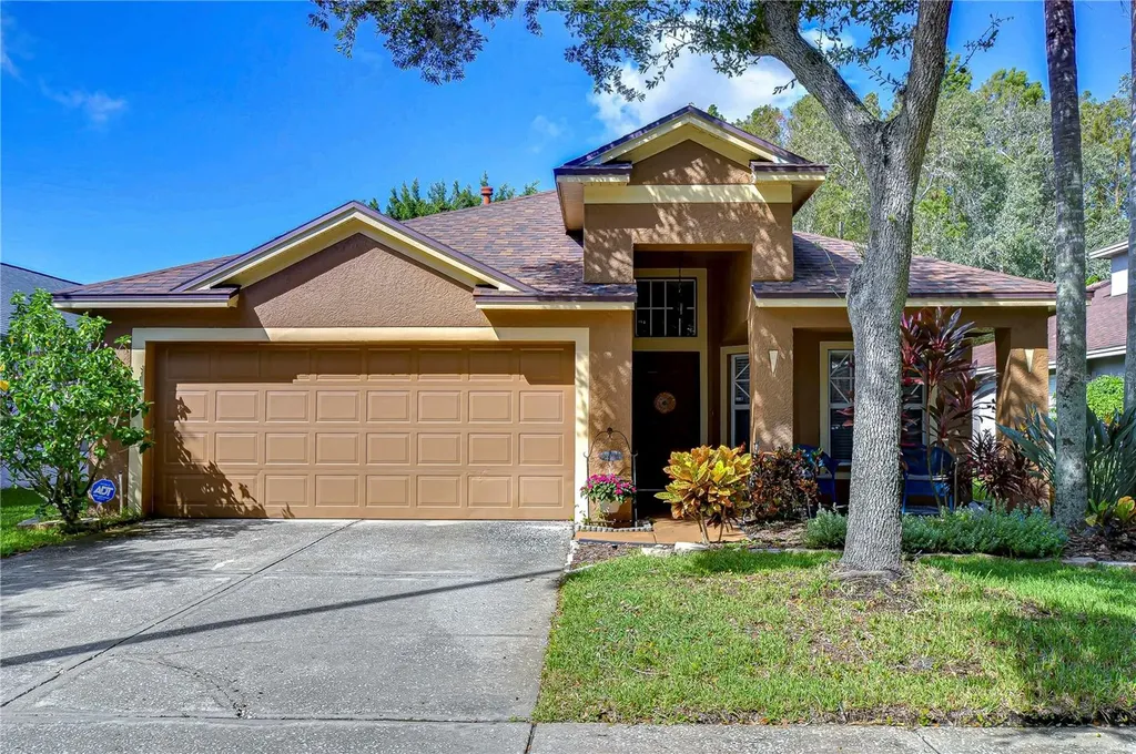 10222 Woodford Bridge Street Tampa FL 33626