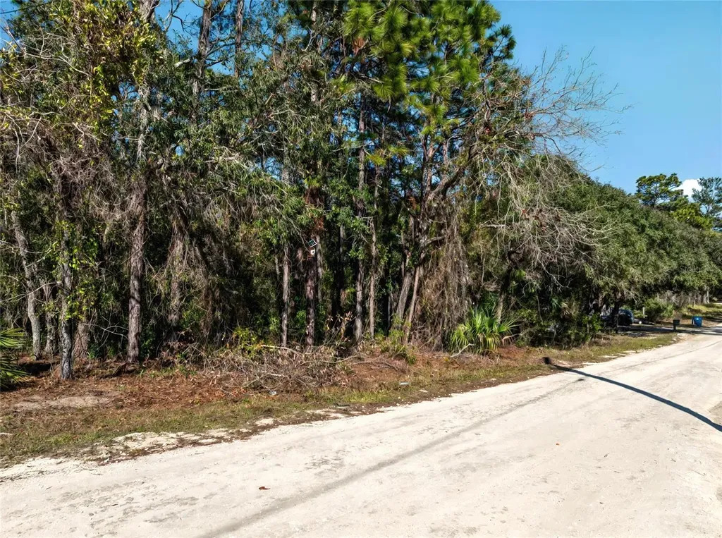 9003 Glenarm Way Weeki Wachee FL 34613