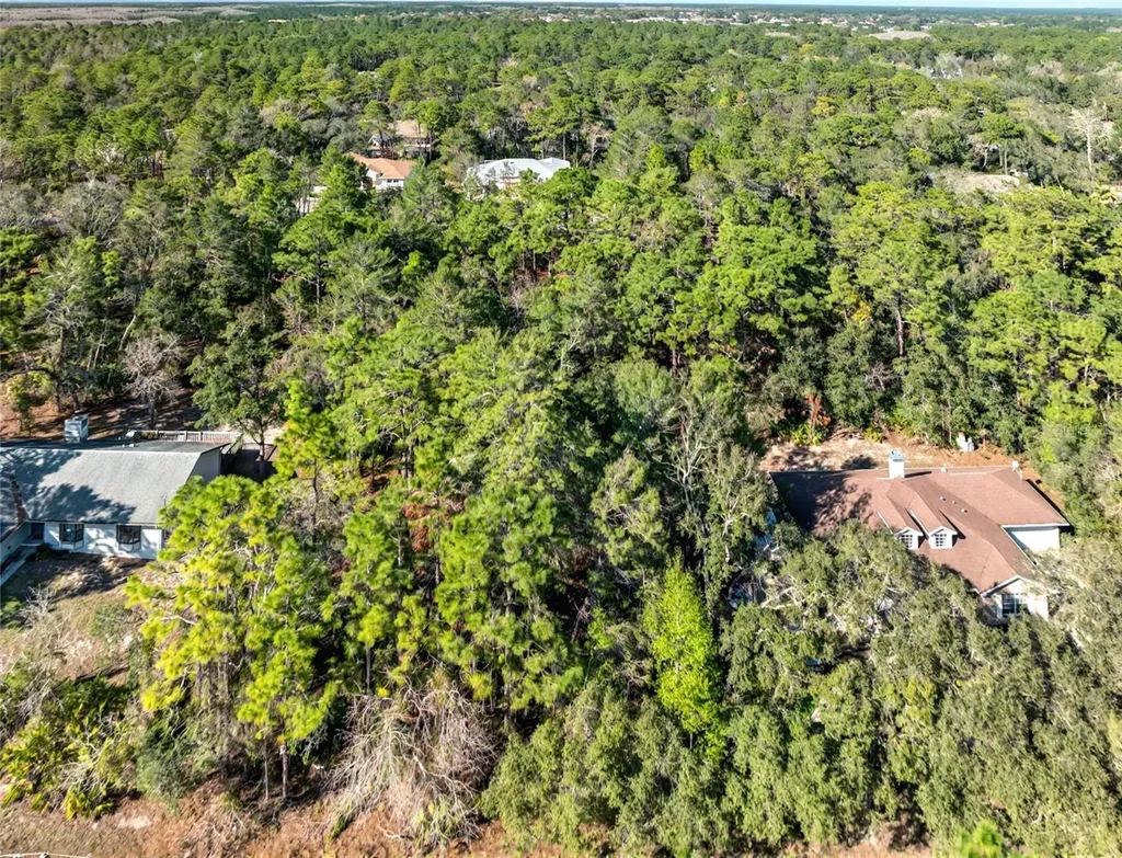 9003 Glenarm Way Weeki Wachee FL 34613