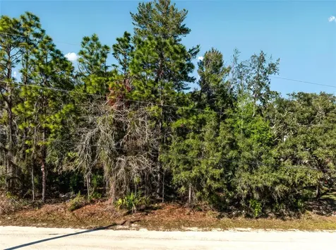 9003 Glenarm Way Weeki Wachee FL 34613