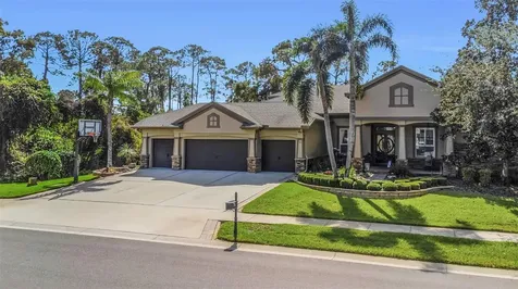 3668 Janus Way Palm Harbor FL 34685