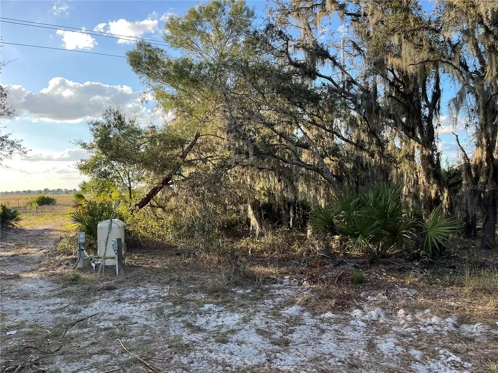 4020 Gasden Street Lake Wales FL 33859