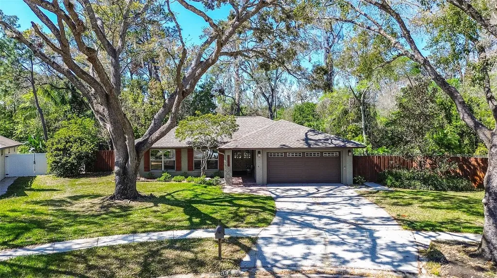 2504 Woodcote Terrace Palm Harbor FL 34685