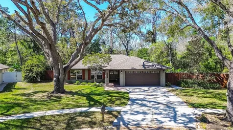2504 Woodcote Terrace Palm Harbor FL 34685