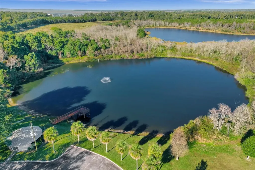 2135 Canopy Circle Zellwood FL 32798