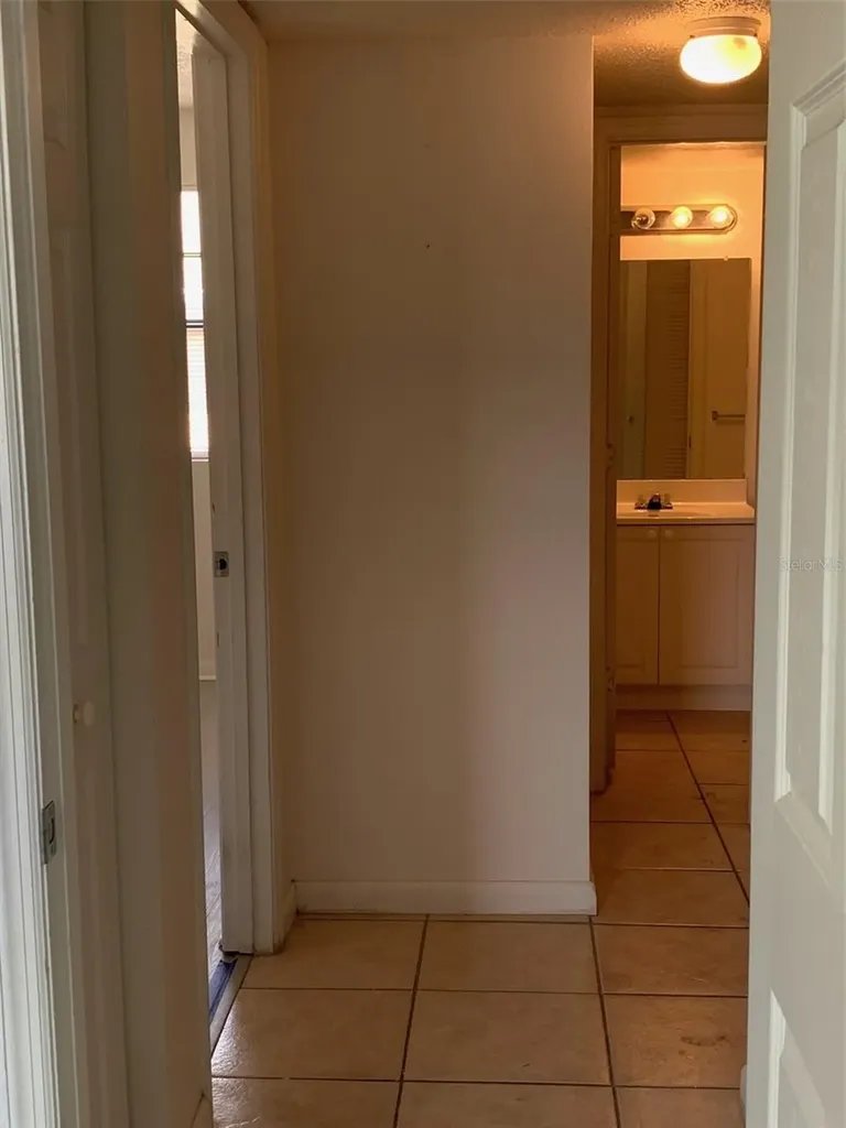 12403 Hibiscus Oak Place Tampa FL 33612