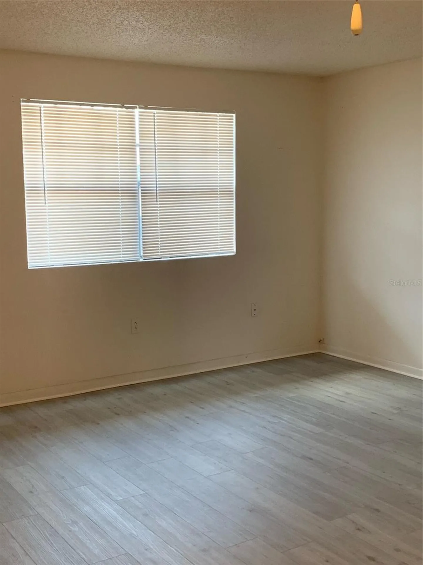 12403 Hibiscus Oak Place Tampa FL 33612