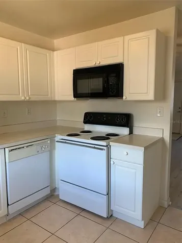12403 Hibiscus Oak Place Tampa FL 33612