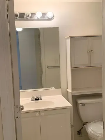 12403 Hibiscus Oak Place Tampa FL 33612