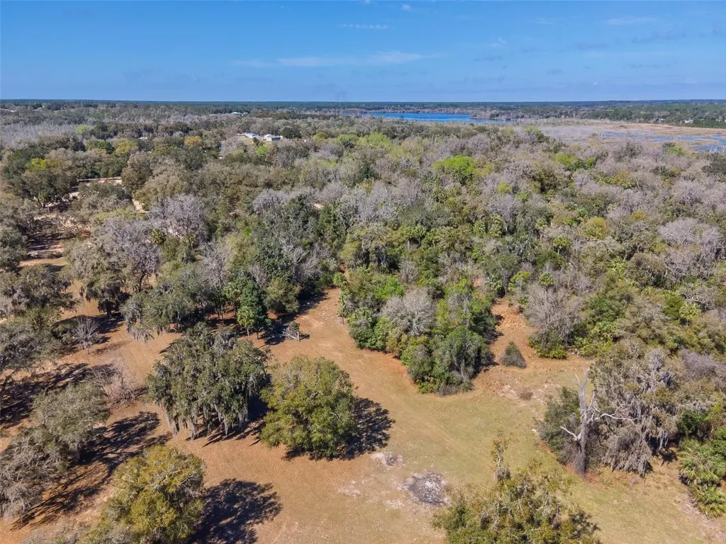 17482 SE 34th Lane Ocklawaha FL 32179