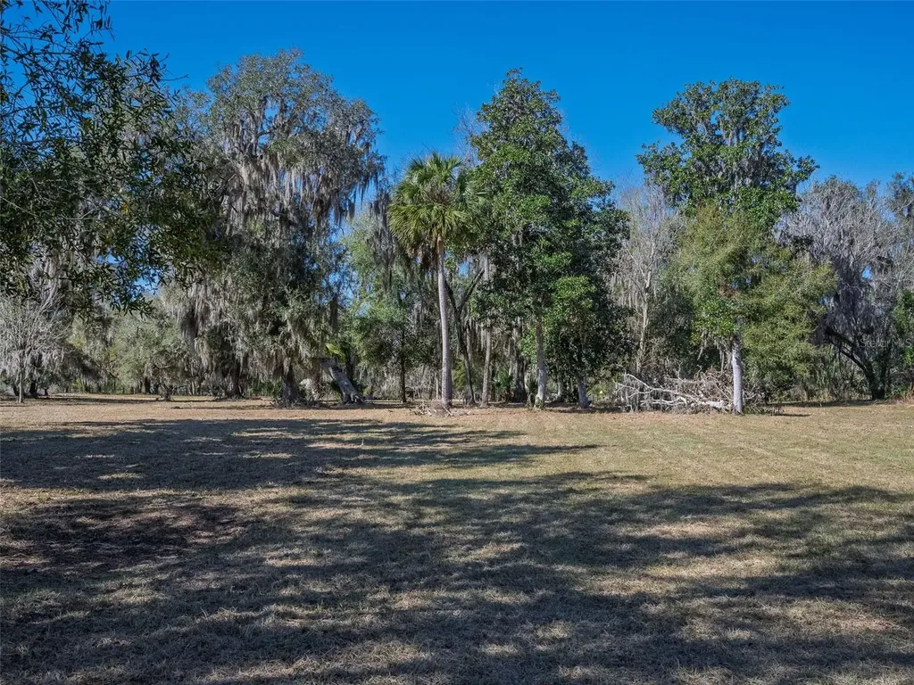 17482 SE 34th Lane Ocklawaha FL 32179