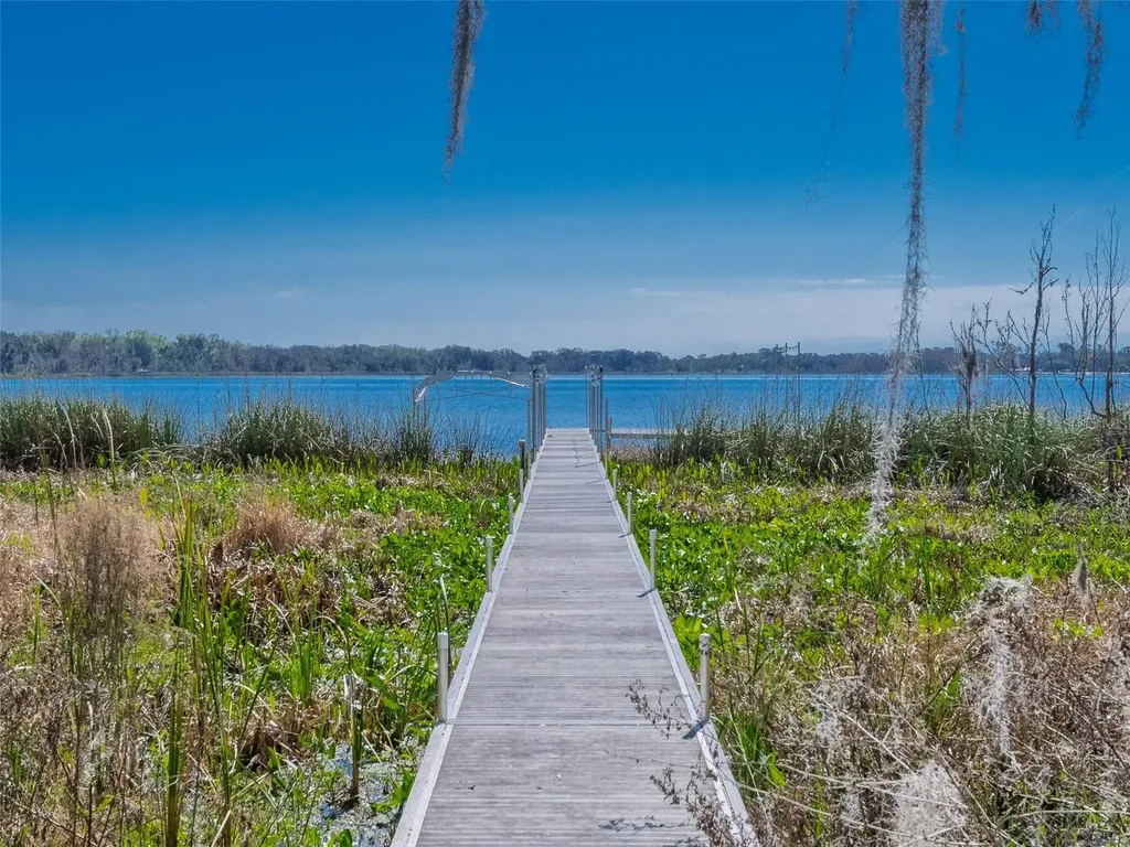 17482 SE 34th Lane Ocklawaha FL 32179
