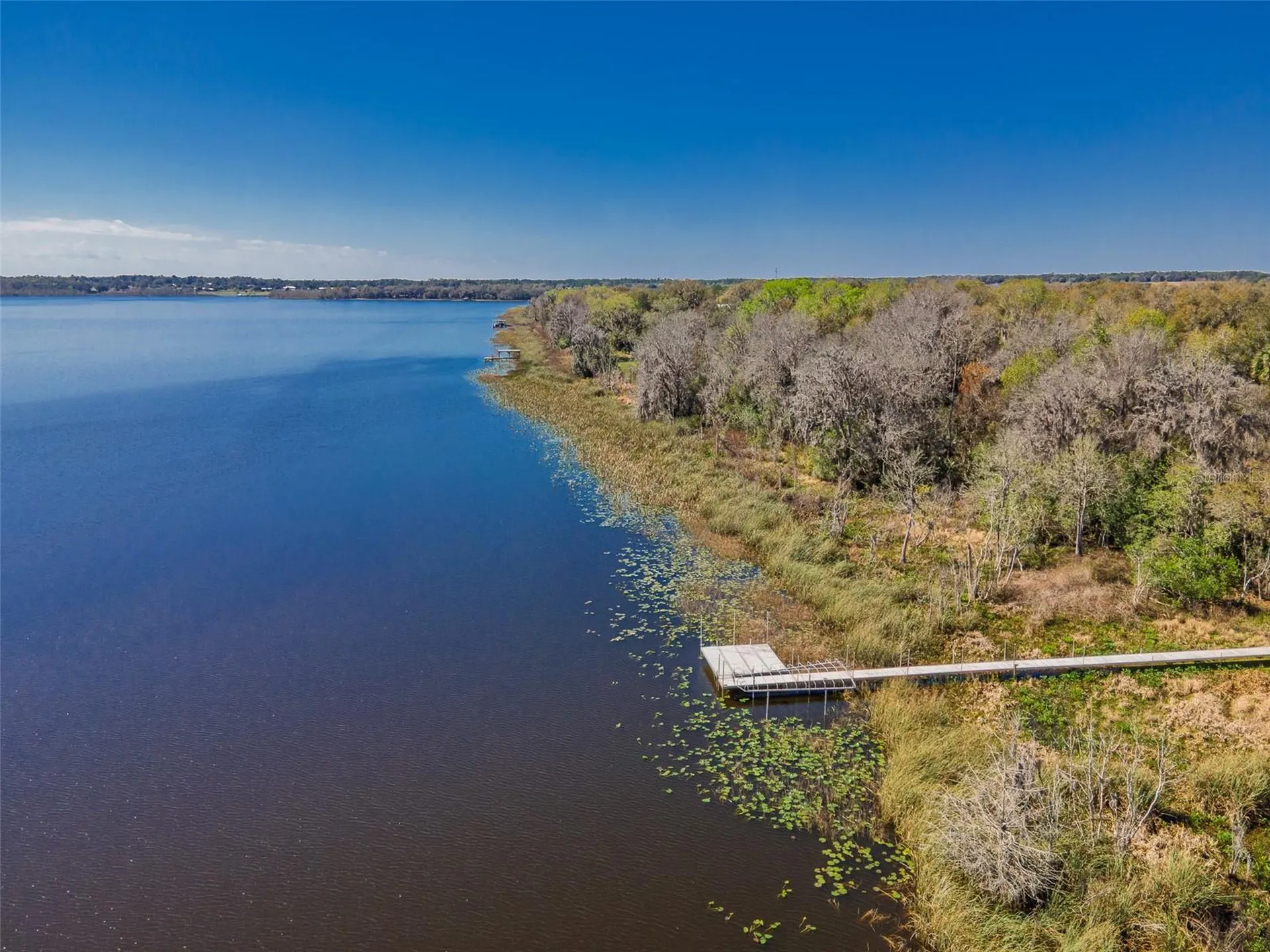 17482 SE 34th Lane Ocklawaha FL 32179