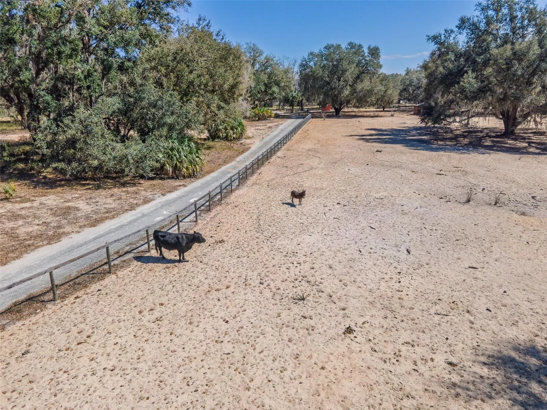 17482 SE 34th Lane Ocklawaha FL 32179