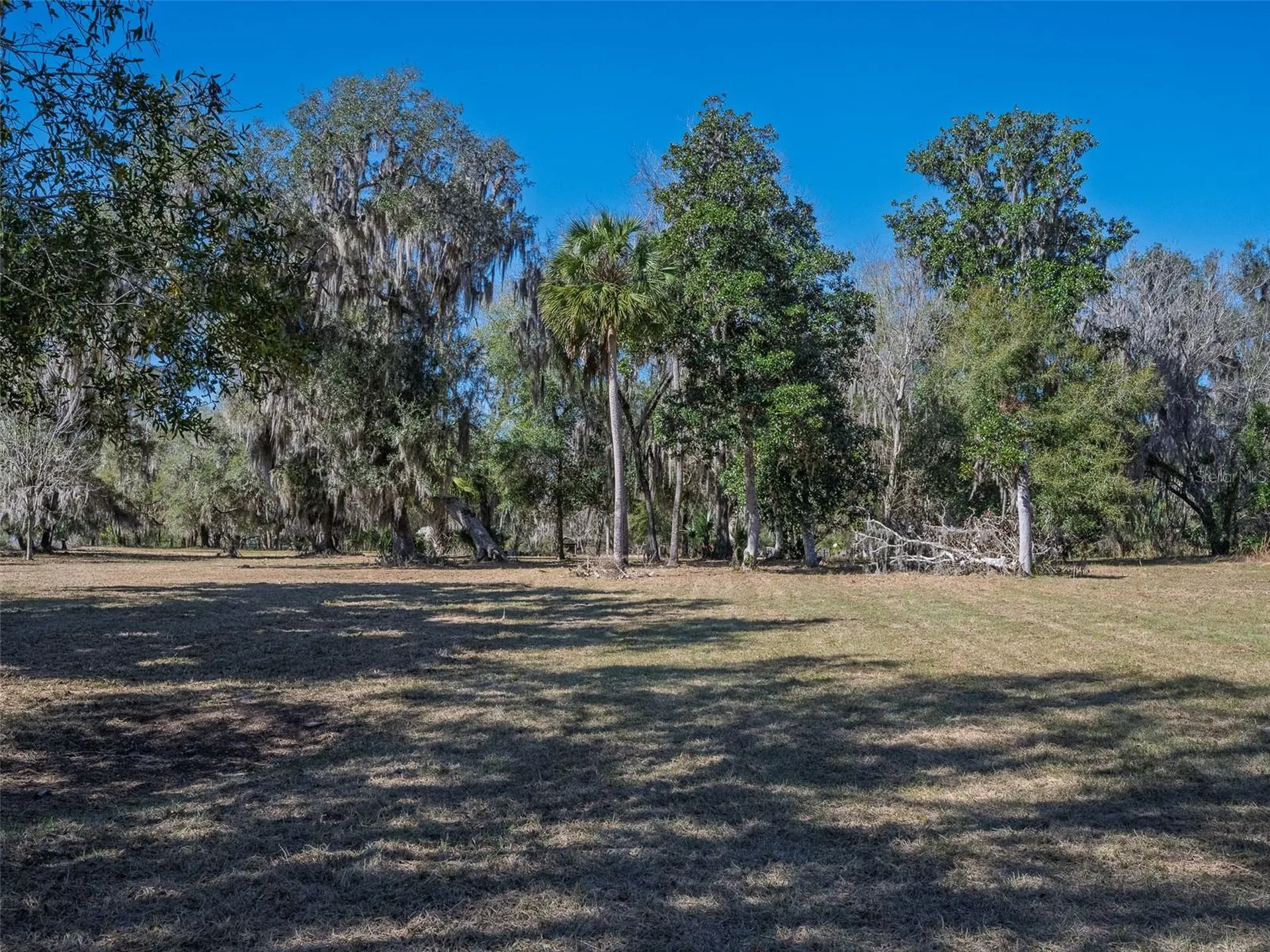17482 SE 34th Lane Ocklawaha FL 32179