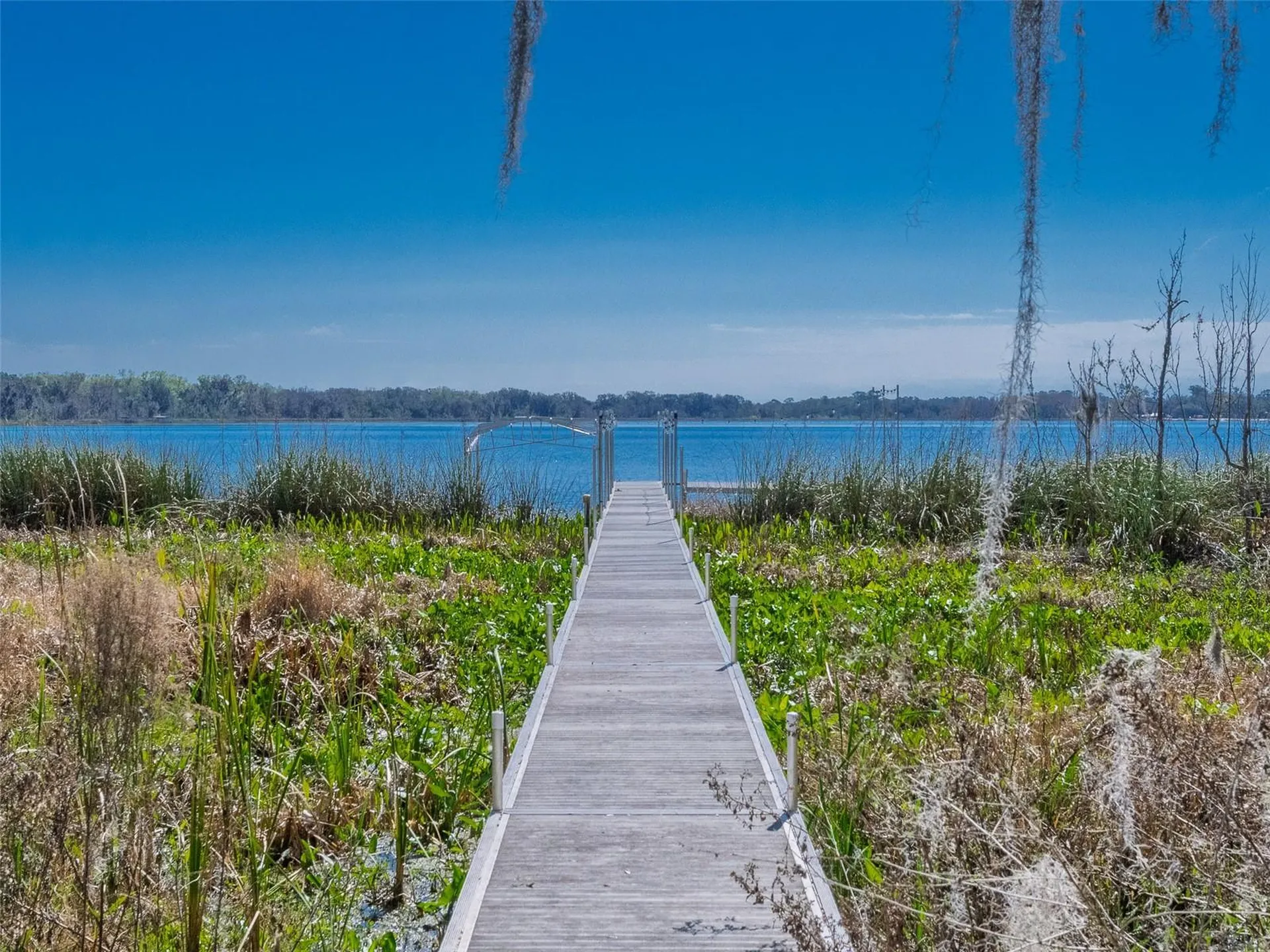17482 SE 34th Lane Ocklawaha FL 32179