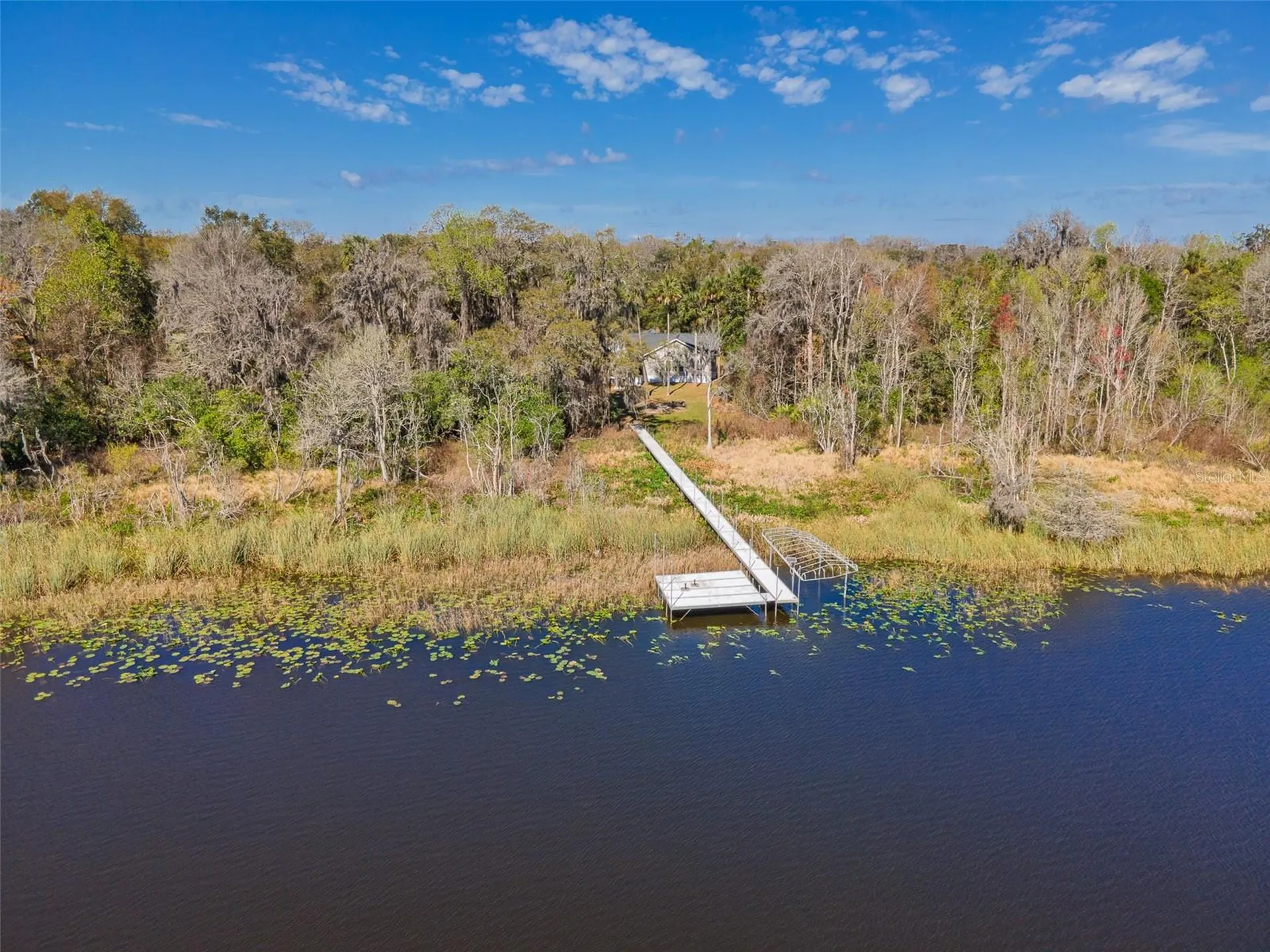 17482 SE 34th Lane Ocklawaha FL 32179