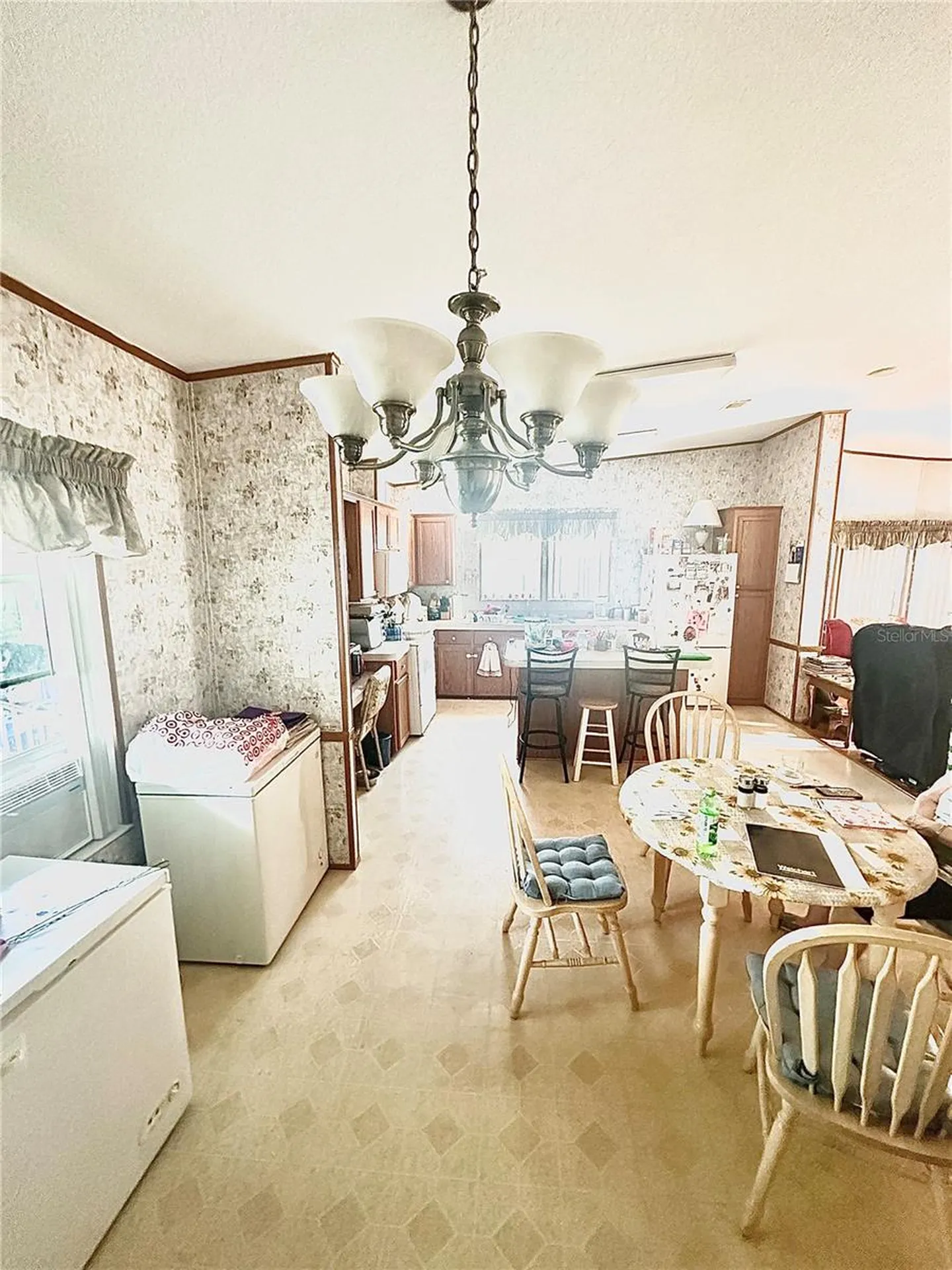 11428 Pheasant Trail Leesburg FL 34788