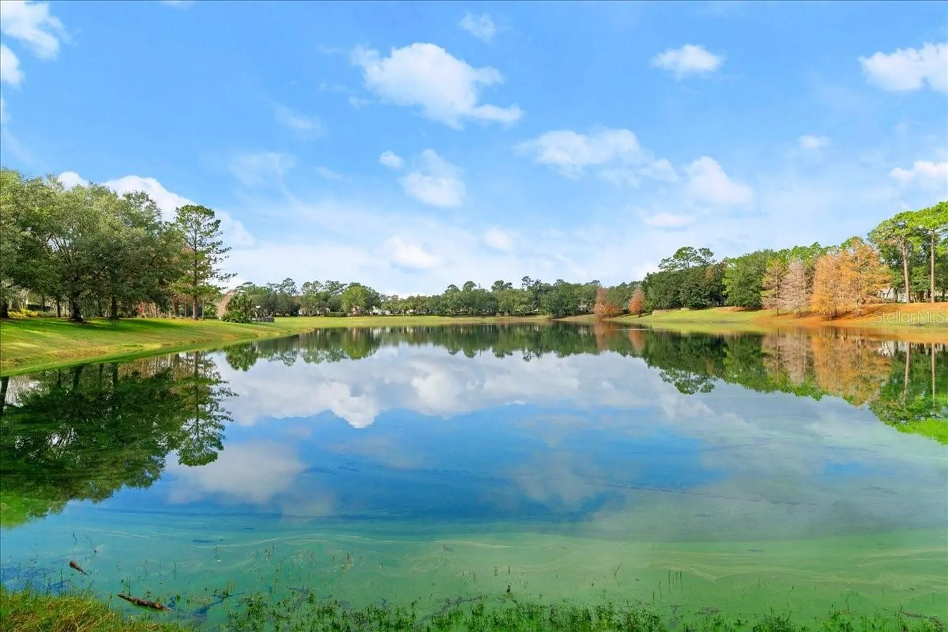 203 W Tarrington Drive Deland FL 32724