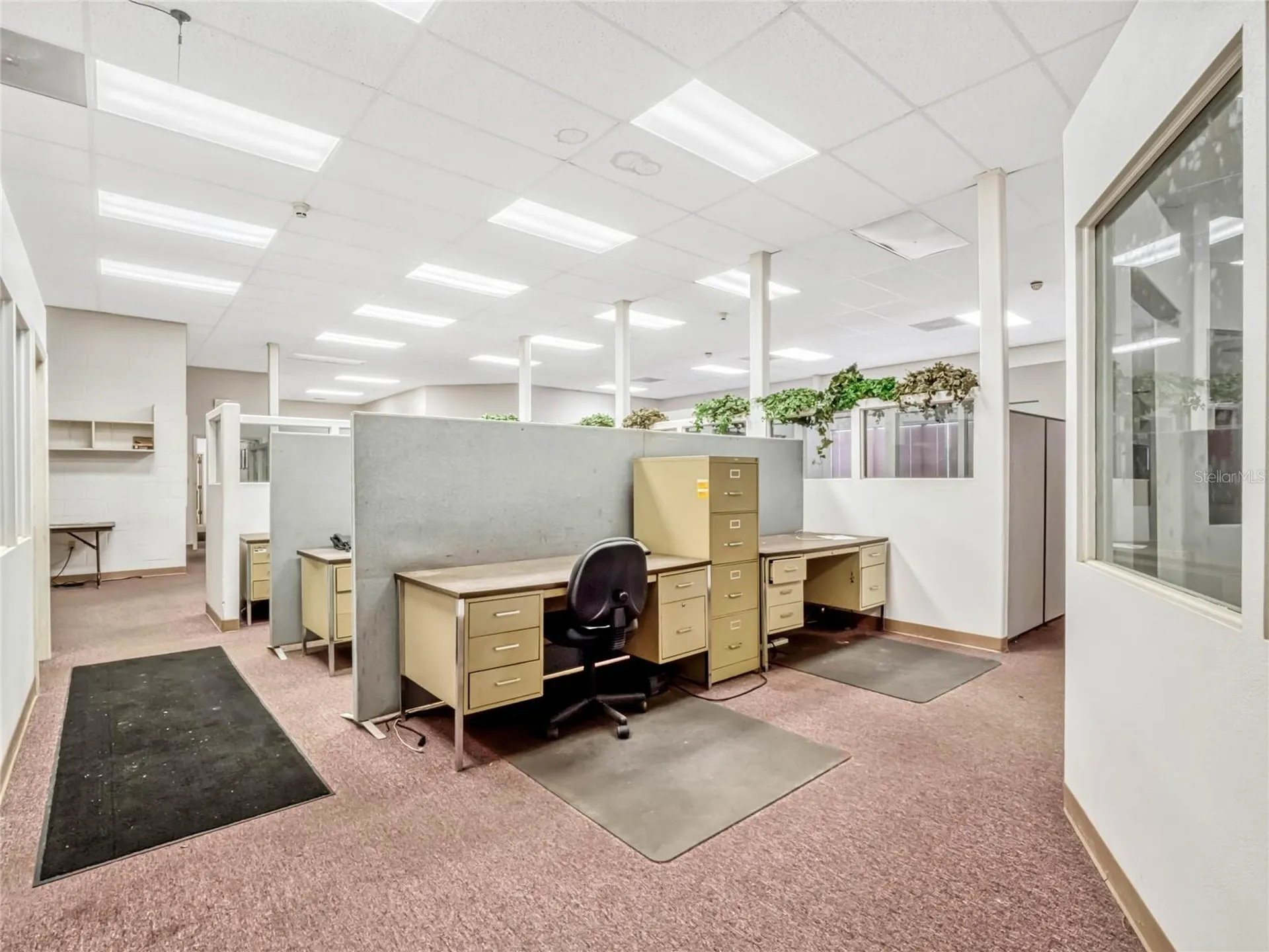 34135 Cardinal Lane Eustis FL 32736