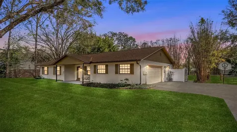 32589 Greenwood Loop Wesley Chapel FL 33545