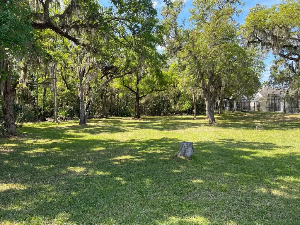 4602 Cumbrian Lakes Drive Kissimmee FL 34746