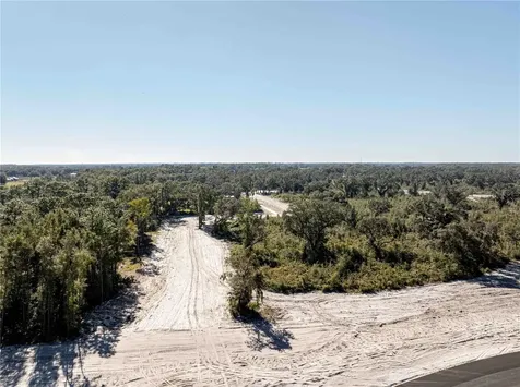 1485 Oxford Preserve Trail Oxford FL 34484