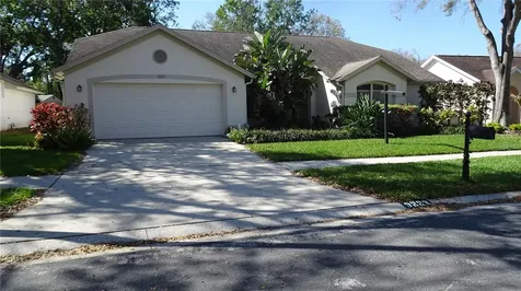 9223 Rockrose Drive Tampa FL 33647