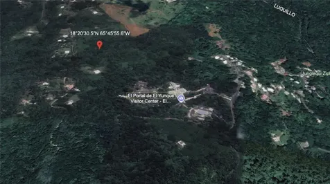 PR-191, Km 2.4 Bo. Mameyes Ii Rio Grande PR 00745