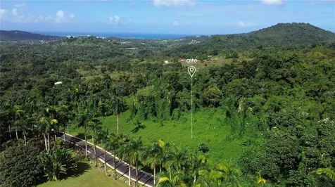 PR-191, Km 2.4 Bo. Mameyes Ii Rio Grande PR 00745