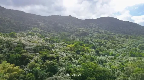 PR-191, Km 2.4 Bo. Mameyes Ii Rio Grande PR 00745