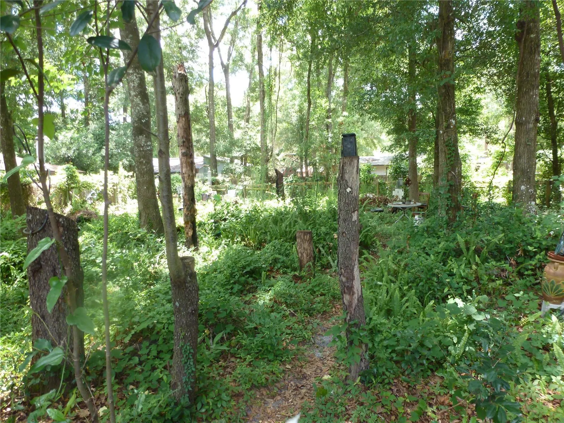 1031 SW 62nd Terrace Gainesville FL 32607