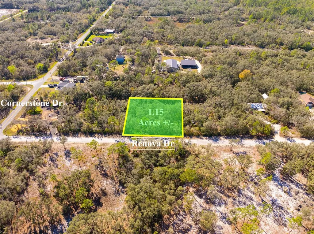 8149 Renova Drive Webster FL 33597