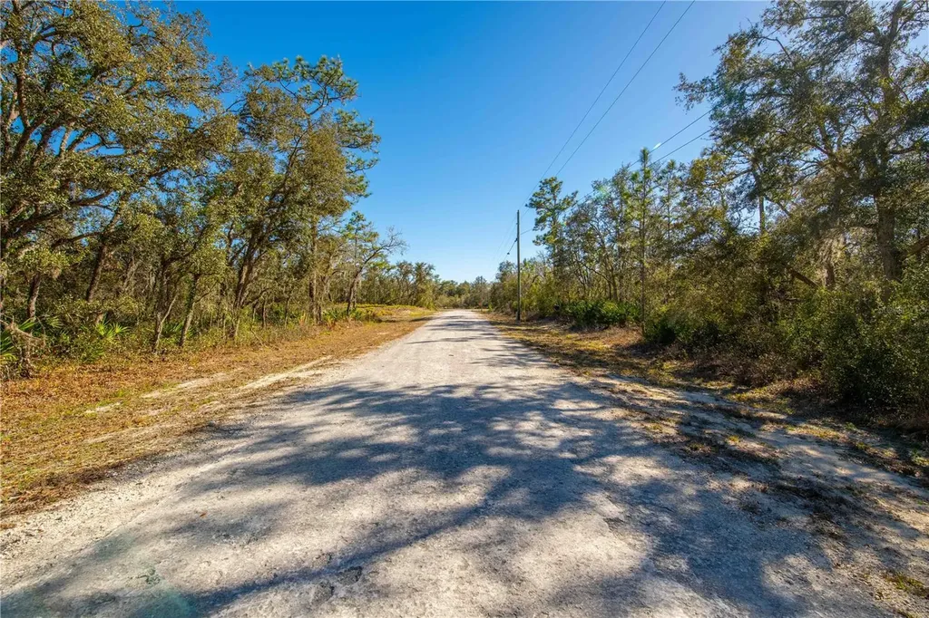 8149 Renova Drive Webster FL 33597